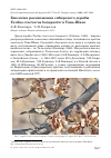 Научная статья на тему 'Биология размножения сибирского дерябы Turdus viscivorus bonapartei в Тянь-Шане'
