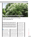 Научная статья на тему 'Биорациональные гербициды - радикальное средство победы над борщевиком'