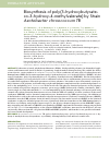 Научная статья на тему 'Biosynthesis of poly(3-hydroxybutyrateco-3-hydroxy-4-methylvalerate) by strain Azotobacter chroococcum 7B'