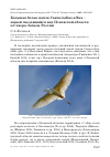 Научная статья на тему 'Большая белая цапля Casmerodius albus - новый гнездящийся вид Псковской области и Северо-Запада России'