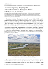 Научная статья на тему 'Большая горлица Streptopelia orientalis meena на Западном Алтае'