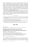 Научная статья на тему 'Большой баклан Phalacrocorax carbo на Мерёвском озере в Ленинградской области'