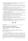 Научная статья на тему 'Чайка, похожая на армянскую Larus armenicus, встречена в Венеции'