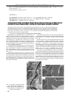 Научная статья на тему 'Численный прогноз русловых процессов на участке реки Обь в районе барнаульских речных водозаборов с целью ихустойчивого водопотребления'