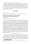 Научная статья на тему 'Чёрный apus apus и белопоясный A. pacificus стрижи в Барнауле'