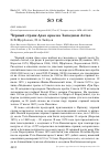 Научная статья на тему 'Чёрный стриж apus apus на западном Алтае'