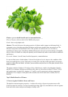 Научная статья на тему 'Cilantro proven benefits for the body and the recommended intake'