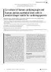 Научная статья на тему 'CO-CULTURE OF HUMAN CARDIOMYOCYTE AND HUMAN AMNION EPITHELIAL STEM CELLS IN AMNION BILAYER MATRIX FOR CARDIOMYOGENESIS'