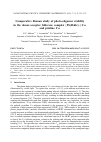 Научная статья на тему 'Comparative Raman study of photo-oligomer stability in the donor-acceptor fullerene complex {Pt(dbdtc)2} ·C60 and pristine C60'
