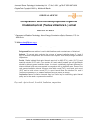Научная статья на тему 'Compositions and microbial properties of gamma irradiated apricot (Prunus armeniaca L.) kernel'