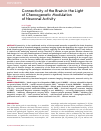 Научная статья на тему 'Connectivity of the Brain in the Light of Chemogenetic Modulation of Neuronal Activity'