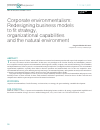 Научная статья на тему 'CORPORATE ENVIRONMENTALISM: REDESIGNING BUSINESS MODELS TO FIT STRATEGY, ORGANIZATIONAL CAPABILITIES AND THE NATURAL ENVIRONMENT'