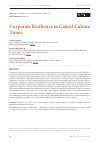 Научная статья на тему 'Corporate Resilience in Cancel Culture Times'