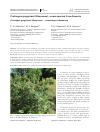 Научная статья на тему 'CRATAEGUS GREGORIANII (ROSACEAE), A NEW SPECIES FROM ARMENIA'