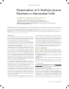 Научная статья на тему 'Deamination of 5-methylcytosine residues in mammalian cells'