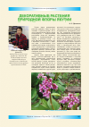 Научная статья на тему 'Декоративные растения природной флоры Якутии'