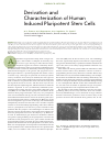 Научная статья на тему 'Derivation and characterization of human induced pluripotent stem cells'
