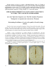 Научная статья на тему 'Determining the influence of yeast on the quality of bread by ImageAnalysis'