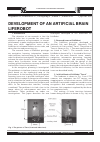 Научная статья на тему 'Development of an artificial brain LifeRobot'