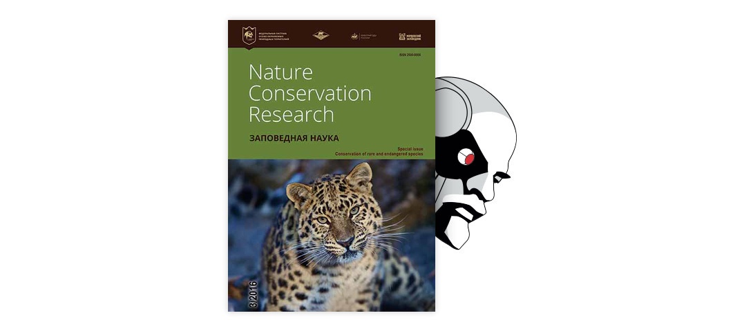 Реферат: Jaguar Essay Research Paper In appearance the