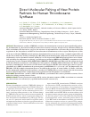 Научная статья на тему 'Direct molecular fishing of new protein partners for human thromboxane synthase'