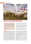 Научная статья на тему 'Добавка в рационе увеличивает показатели цыплят-бройлеров'