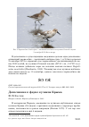 Научная статья на тему 'Дополнение к фауне куликов Крыма'