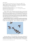 Научная статья на тему 'Дополнительные сведения о птицах Сахалина'