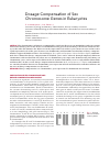 Научная статья на тему 'Dosage compensation of sex chromosome genes in eukaryotes'