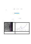 Научная статья на тему 'Dynamics of plasma expansion in intense femtosecond laser-ablated aluminum plumes'