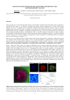 Научная статья на тему 'EARLY DIAGNOSIS OF DISEASES BY LABEL-FREE, HIGH-RESOLUTION, MULTIPARAMETRIC IMAGING'