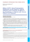 Научная статья на тему 'Effect of GPX1 gene polymorphism distribution on the indices of cellular adhesion and functional condition of the endothelium in patients with chronic diffuse liver diseases'