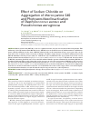 Научная статья на тему 'Effect of sodium chloride on aggregation of merocyanine 540 and photosensitized inactivation of Staphylococcus aureus and Pseudomonas aeruginosa'