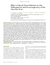 Научная статья на тему 'Effect of the ati Gene Deletion on the Pathogenicity and Immunogenicity of the Vaccinia Virus'