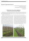 Научная статья на тему 'Effectiveness of low-volume irrigation for orchard in farms of the south of Russia'