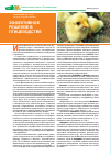 Научная статья на тему 'Эффективное решение в птицеводстве'