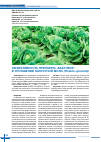 Научная статья на тему 'Эффективность препарата «Бактовир» в отношении капустной моли (Plutella xylostella)'