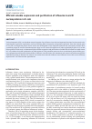 Научная статья на тему 'Efficient soluble expression and purification of influenza a and b nucleoproteins in E. coli'