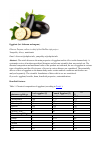 Научная статья на тему 'Eggplant (lat. Solánum melongena)'