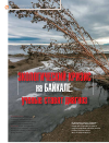 Научная статья на тему 'Экологический кризис на Байкале: ученые ставят диагноз'