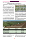 Научная статья на тему 'Экономическая эффективность применения ростовых веществ на озимой пшенице'
