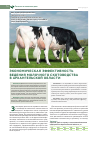 Научная статья на тему 'Экономическая эффективность ведения молочного скотоводства в Архангельской области'