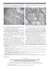 Научная статья на тему 'Экспертная оценка морфо-функционального состояния поджелудочной железы при гипотермии'