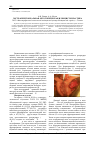 Научная статья на тему 'Экстраперитонеальная ортотопическая илеоцистопластика'