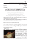 Научная статья на тему 'Эктопаразиты остроухой ночницы Myotis blythii (Chiroptera: vespertilionidae) заповедника «Тигирекский»'