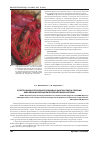 Научная статья на тему 'Электрофизиологические подходы в диагностике и лечении заболеваний периферической нервной системы'