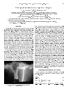 Научная статья на тему 'Электромагнитные поля в торнадо и смерчах'