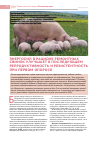 Научная статья на тему 'Энергосил в рационе ремонтных свинок улучшает в последующем репродуктивность и резистентность при первом опоросе'