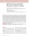 Научная статья на тему 'EPITHELIAL-MESENCHYMAL TRANSITION: ROLE IN CANCER PROGRESSION AND THE PERSPECTIVES OF ANTITUMOR TREATMENT'