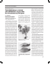 Научная статья на тему 'Эриофиидные клещи увеличивают агрессию на плодовых культурах'